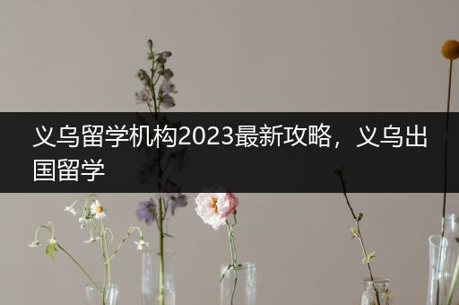 义乌留学机构2023最新攻略，义乌出国留学