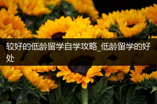 较好的低龄留学自学攻略_低龄留学的好处