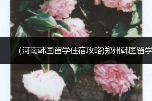 （河南韩国留学住宿攻略)郑州韩国留学