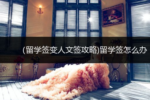 （留学签变人文签攻略)留学签怎么办