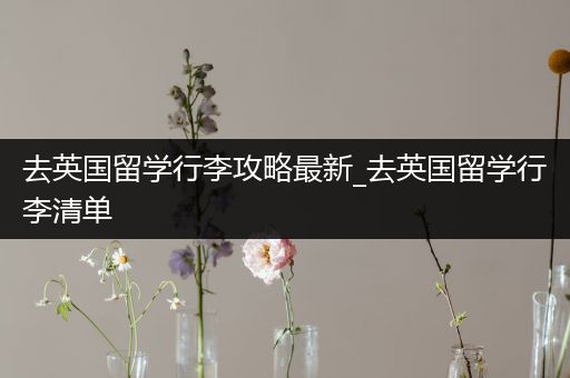去英国留学行李攻略最新_去英国留学行李清单