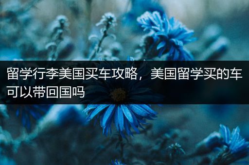 留学行李美国买车攻略，美国留学买的车可以带回国吗
