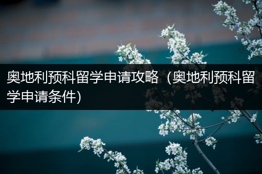 奥地利预科留学申请攻略（奥地利预科留学申请条件）