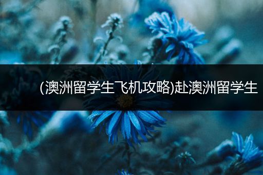 （澳洲留学生飞机攻略)赴澳洲留学生