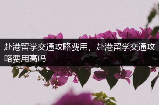 赴港留学交通攻略费用，赴港留学交通攻略费用高吗