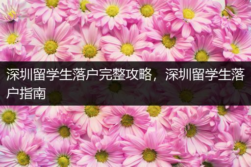 深圳留学生落户完整攻略，深圳留学生落户指南