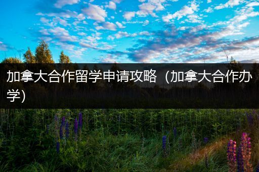 加拿大合作留学申请攻略（加拿大合作办学）