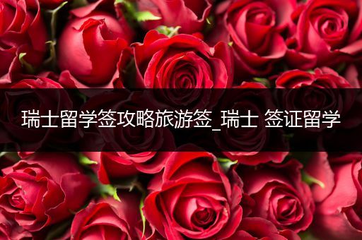 瑞士留学签攻略旅游签_瑞士 签证留学