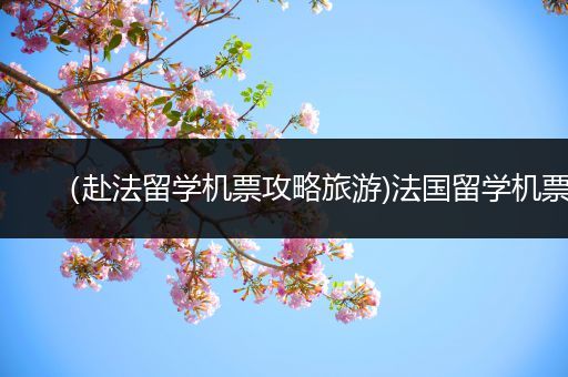 （赴法留学机票攻略旅游)法国留学机票
