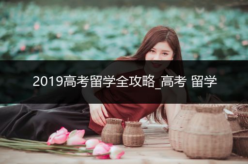 2019高考留学全攻略_高考 留学