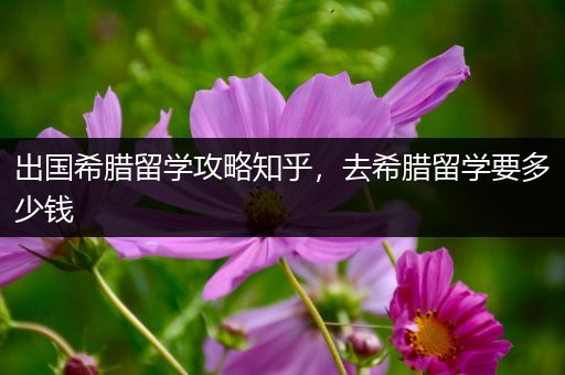 出国希腊留学攻略知乎，去希腊留学要多少钱