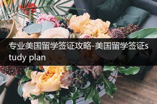 专业美国留学签证攻略-美国留学签证study plan