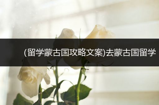 （留学蒙古国攻略文案)去蒙古国留学