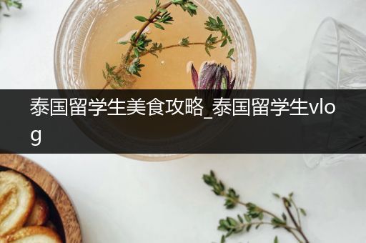 泰国留学生美食攻略_泰国留学生vlog