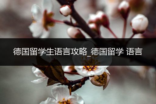 德国留学生语言攻略_德国留学 语言