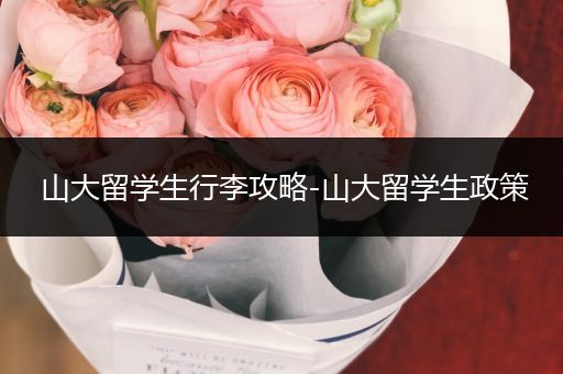 山大留学生行李攻略-山大留学生政策