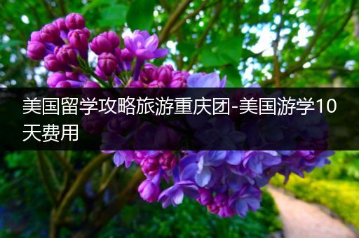 美国留学攻略旅游重庆团-美国游学10天费用