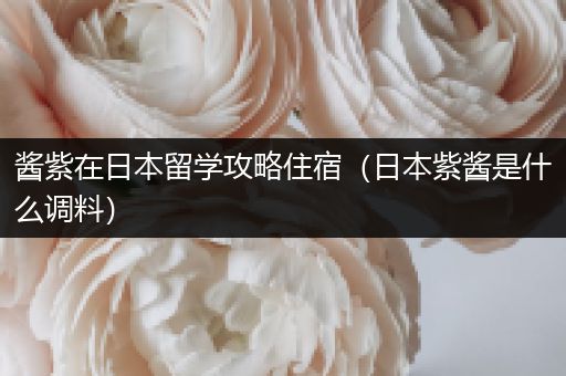酱紫在日本留学攻略住宿（日本紫酱是什么调料）