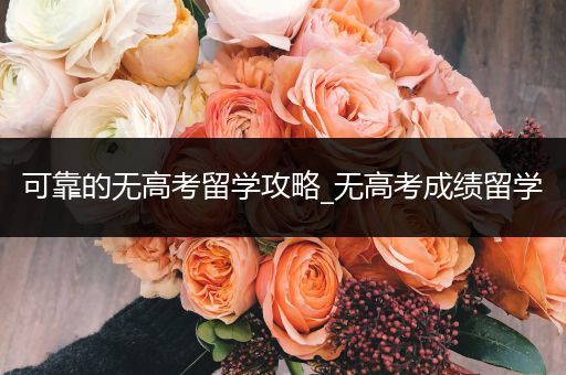 可靠的无高考留学攻略_无高考成绩留学