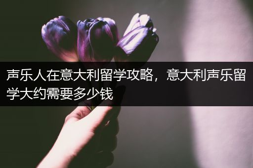 声乐人在意大利留学攻略，意大利声乐留学大约需要多少钱