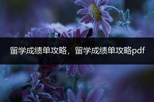 留学成绩单攻略，留学成绩单攻略pdf
