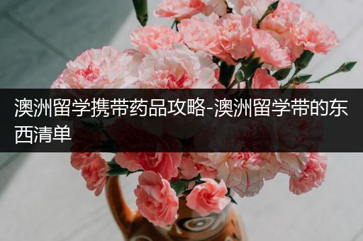 澳洲留学携带药品攻略-澳洲留学带的东西清单