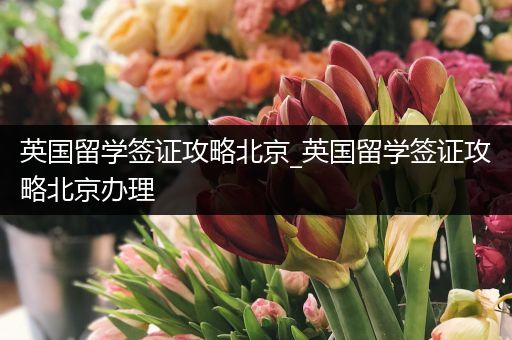 英国留学签证攻略北京_英国留学签证攻略北京办理
