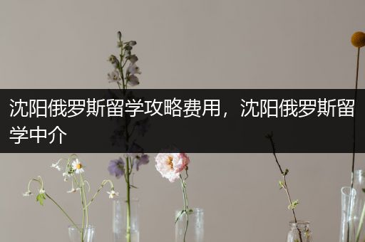 沈阳俄罗斯留学攻略费用，沈阳俄罗斯留学中介