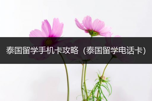 泰国留学手机卡攻略（泰国留学电话卡）