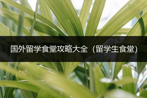 国外留学食堂攻略大全（留学生食堂）