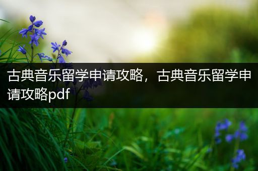 古典音乐留学申请攻略，古典音乐留学申请攻略pdf