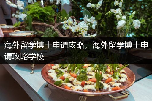 海外留学博士申请攻略，海外留学博士申请攻略学校