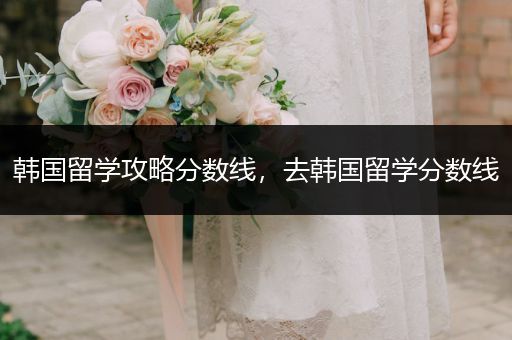 韩国留学攻略分数线，去韩国留学分数线