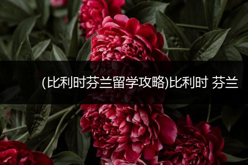 （比利时芬兰留学攻略)比利时 芬兰