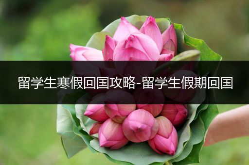 留学生寒假回国攻略-留学生假期回国