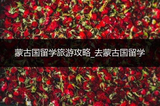 蒙古国留学旅游攻略_去蒙古国留学