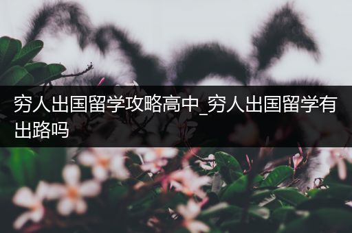 穷人出国留学攻略高中_穷人出国留学有出路吗