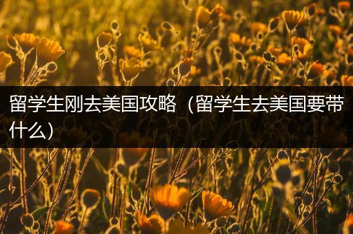 留学生刚去美国攻略（留学生去美国要带什么）