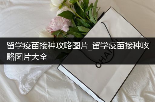留学疫苗接种攻略图片_留学疫苗接种攻略图片大全