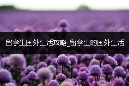 留学生国外生活攻略_留学生的国外生活