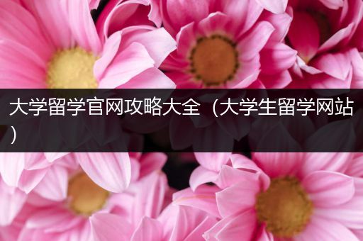 大学留学官网攻略大全（大学生留学网站）