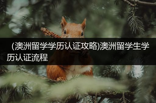 （澳洲留学学历认证攻略)澳洲留学生学历认证流程