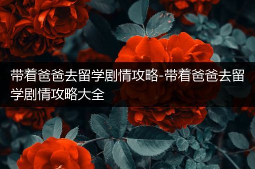 带着爸爸去留学剧情攻略-带着爸爸去留学剧情攻略大全