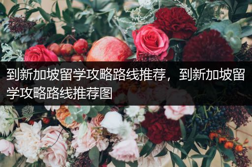 到新加坡留学攻略路线推荐，到新加坡留学攻略路线推荐图