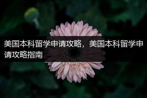 美国本科留学申请攻略，美国本科留学申请攻略指南
