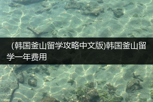 （韩国釜山留学攻略中文版)韩国釜山留学一年费用