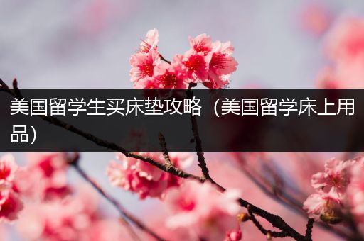 美国留学生买床垫攻略（美国留学床上用品）