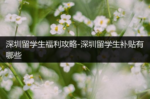 深圳留学生福利攻略-深圳留学生补贴有哪些