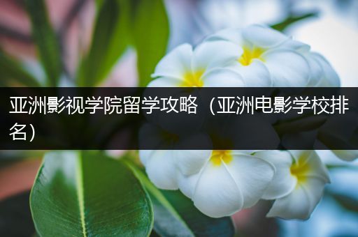 亚洲影视学院留学攻略（亚洲电影学校排名）