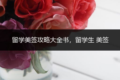 留学美签攻略大全书，留学生 美签